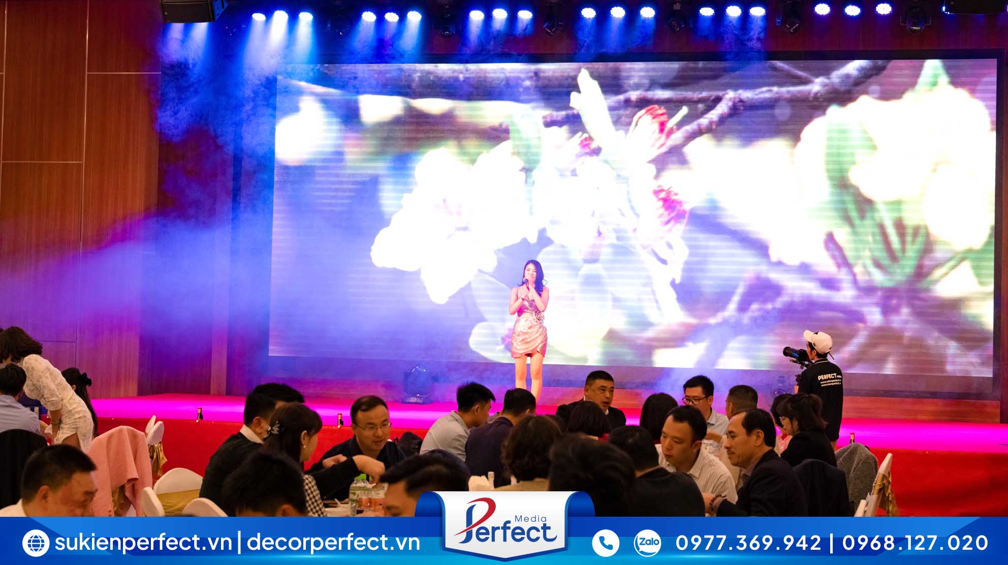 Ca sỹ Perfect Media biểu diễn chuyên nghiệp