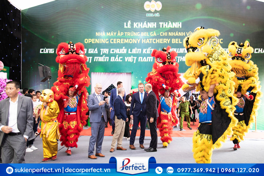 nhom-mua-lan-su-rong-trong-hoi-chuyen-nghiep